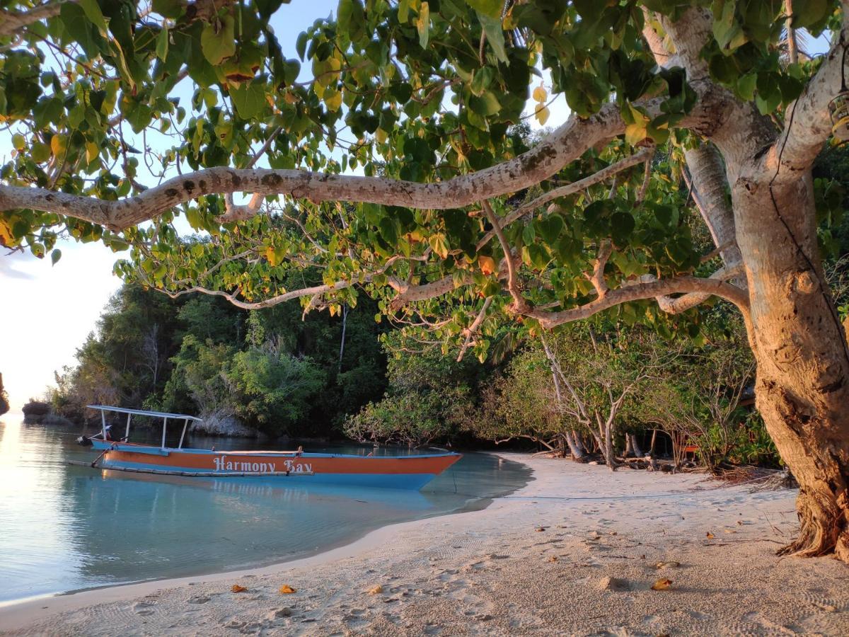 Harmony Bay Resort And Dive Center Wakai Extérieur photo